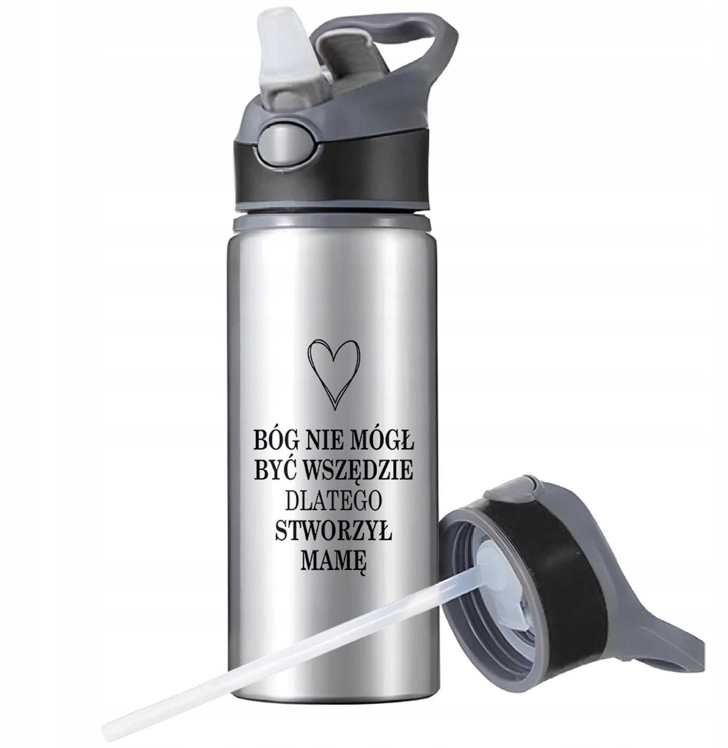 Sport Bidon 650ml Aluminium met Rietje en Handvat