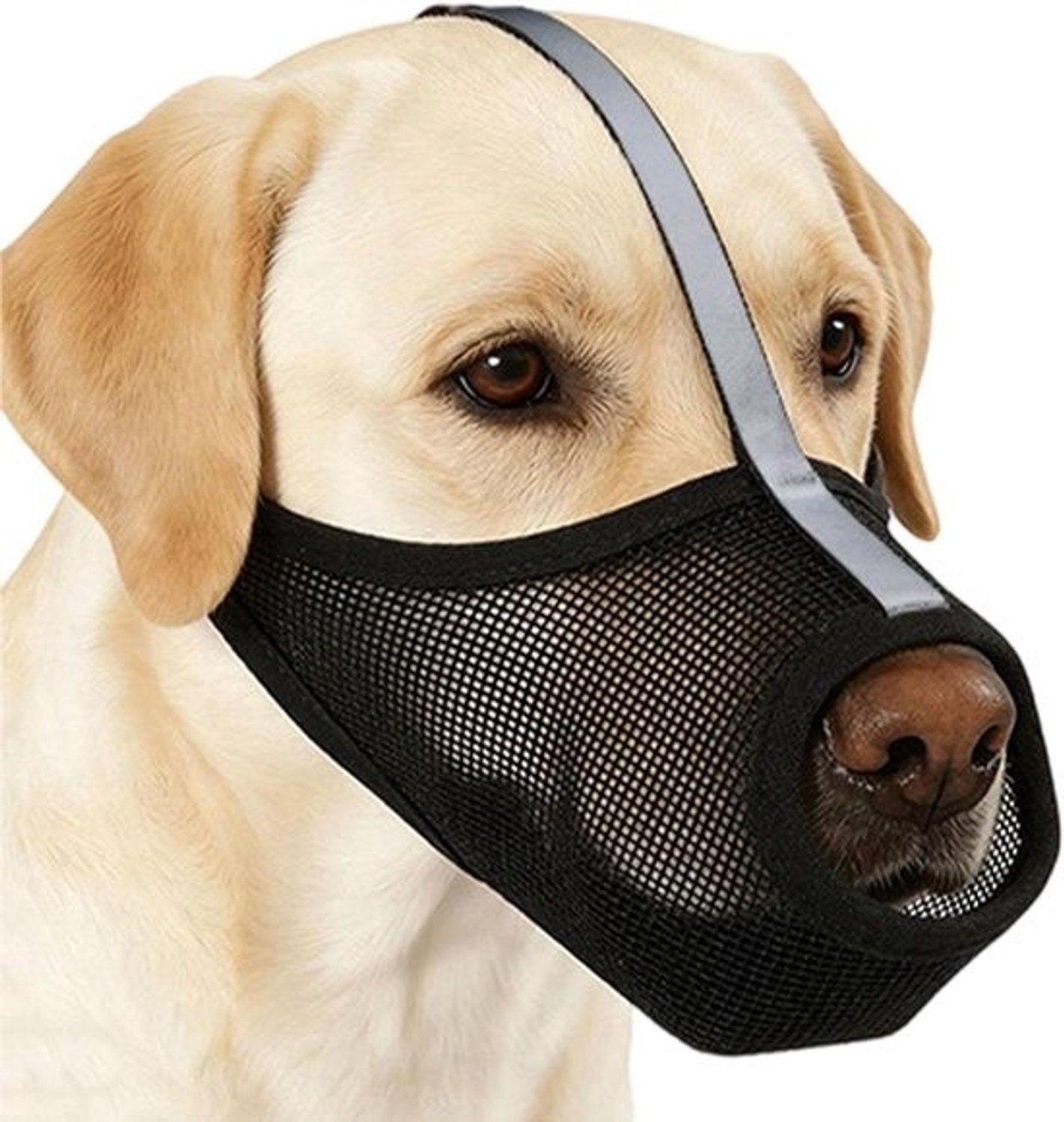 Hondenmuilkorf - Zacht mondmasker - Voor wandelingen - Reflecterende strepen - 10 x 8 x 2 cm - Zwart