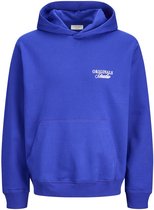 Jack & Jones Hoodie Achterkant bedrukt Hoodie