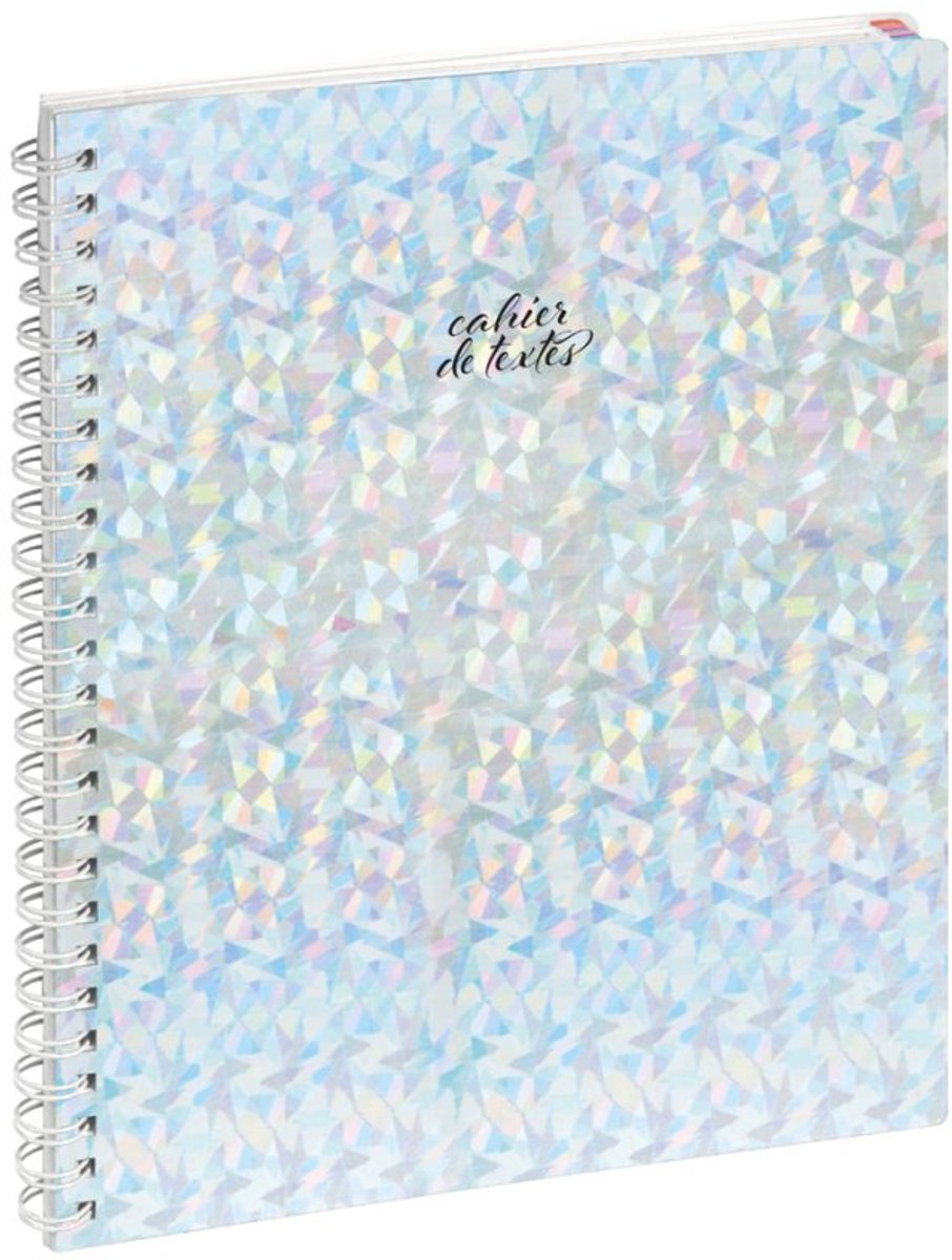 EXACOMPTA tekstboek Holographik, spiraal metaal, 170×220 mm, 148 pagina's