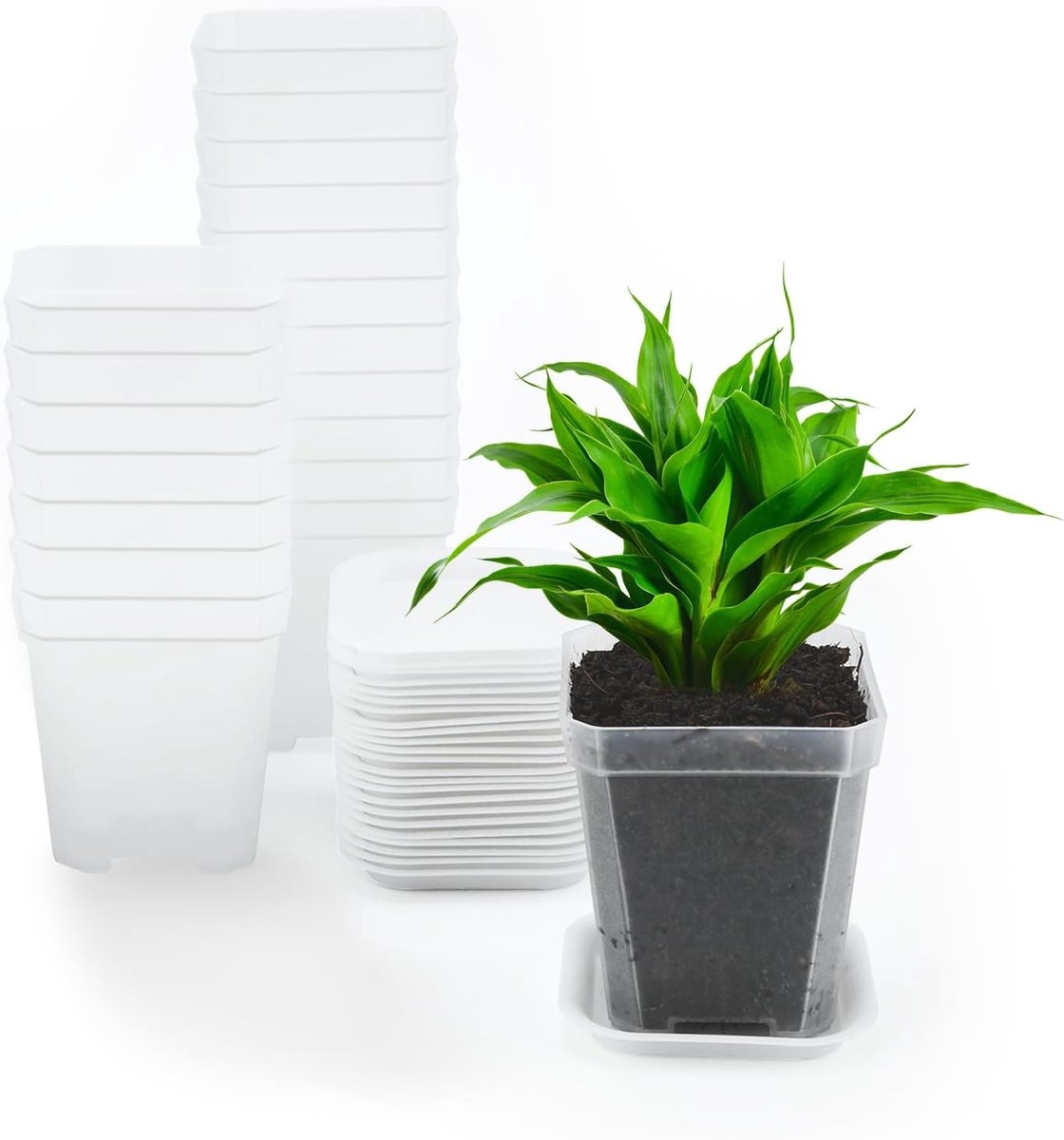 12 Stuks 7cm Plastic Vierkante Plantenpotten met Ondertassen, Stevige Potten voor Zaailingen, Ideaal voor Groenten, Succulenten en Kruidenscheuten