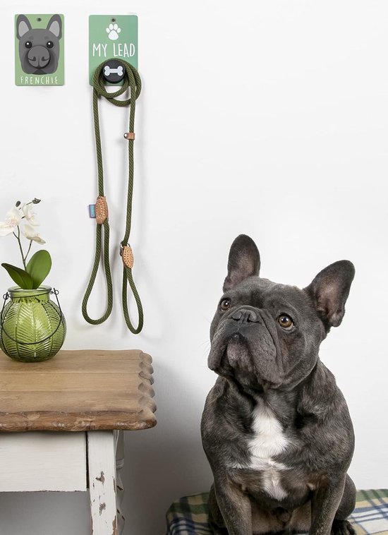 Hond Lead Houder Wandmontage - Pop-Out Haak - Duurzaam Metalen Plaque - Ideaal voor Lood en Accessoires - ServiceTopper — afbeelding 2
