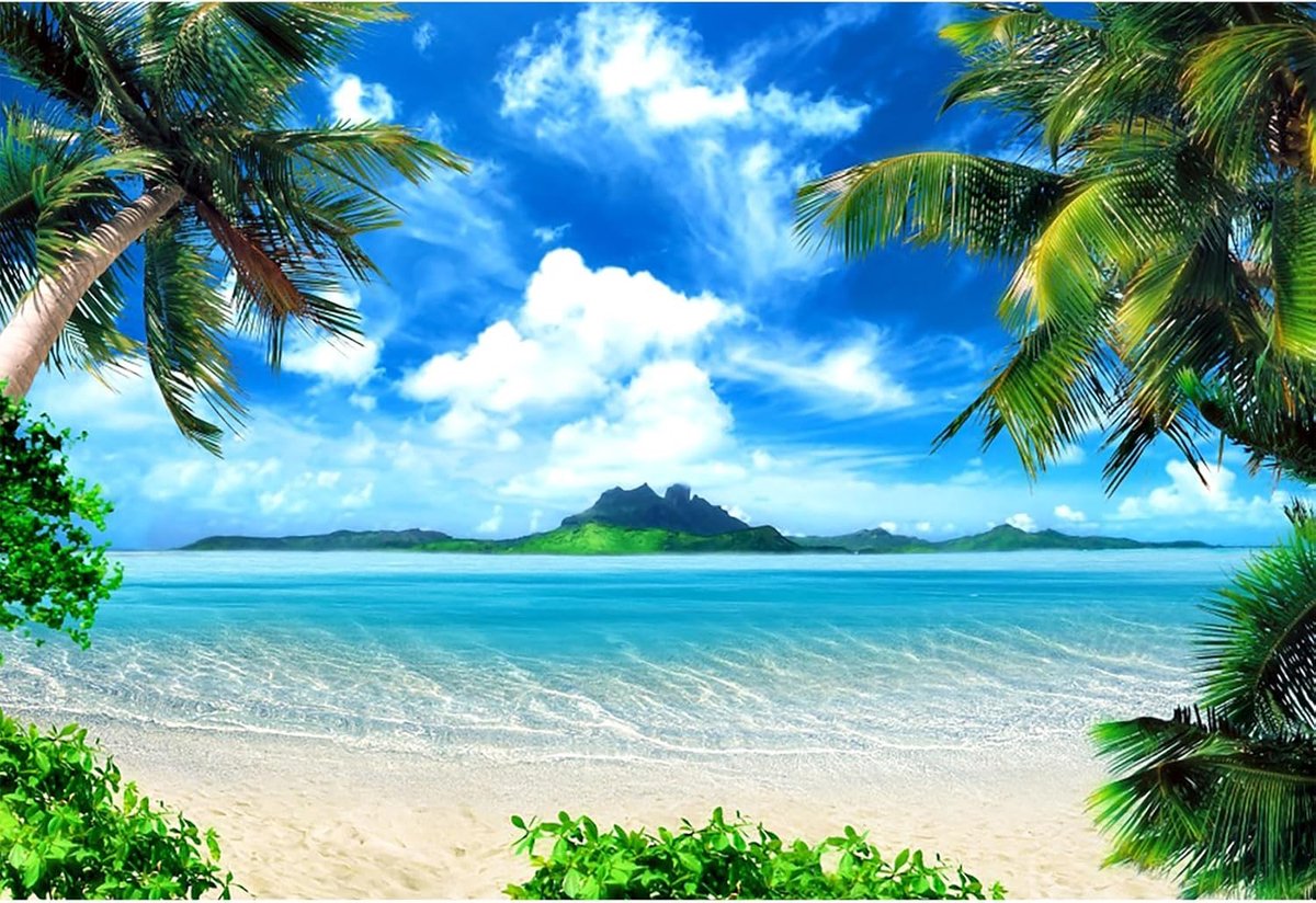 strand achtergrond 3 x 2,44 m palmbladeren tropische planten Hawaiiaanse achtergrond kust blauwe lucht witte wolken vakantie fotografie achtergrond reizen schieten rekwisieten
