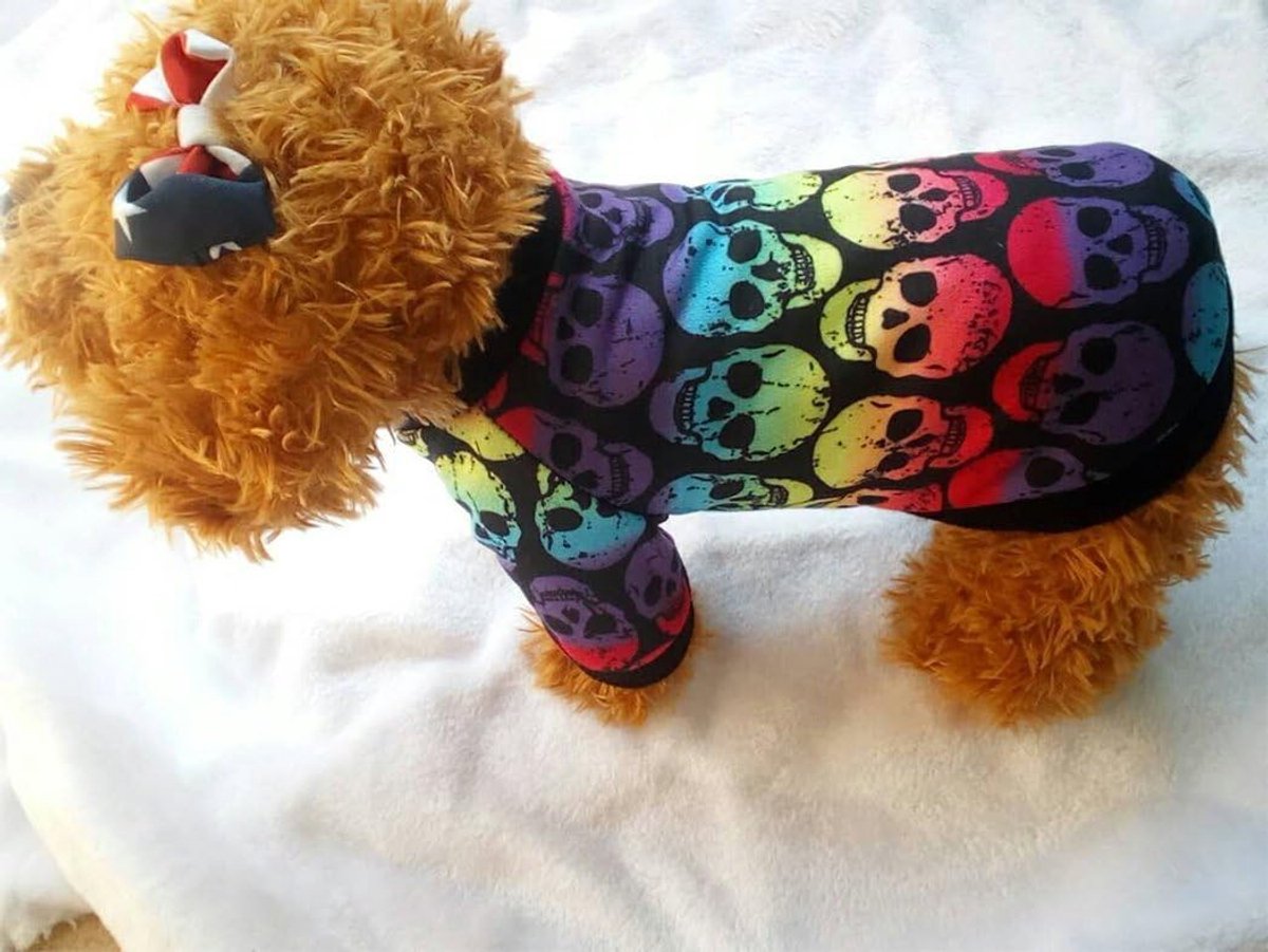 Kleding, Halloween Kleine Hond Kat Huisdier Kleding Kleurrijke Schedel Ghost Trui Halloween Kleding