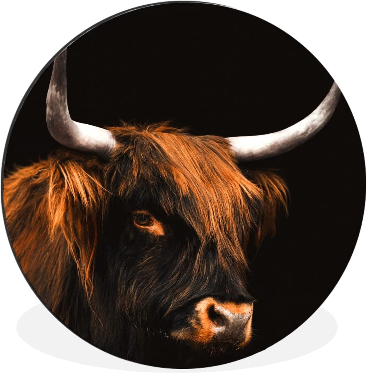 - Muurcirkel - 140x140 cm - Schotse hooglander - Koe - Zwart