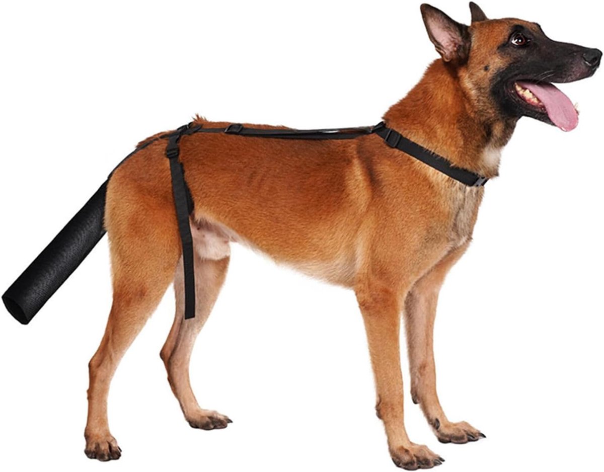 Hondenstaartafdekking voor wonden, hondenstaartbescherming voor middelgrote en grote honden, staartwondbescherming voor huisdieren en dieren, zwart (M)