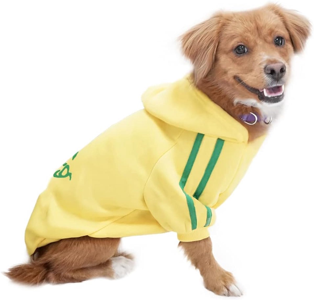 Puppy, T-shirt, warm, jas, huisdierkleding, geel, maat L