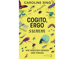Cogito, ergo summ