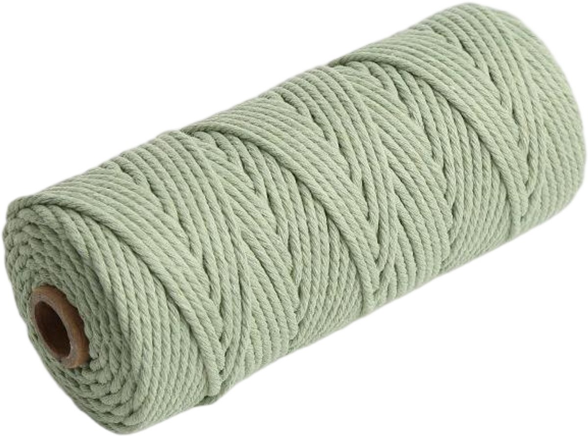 Macramétouw 3 mm x 100 m, natuurlijk katoenen draad voor wanddecoratie, plantenhangers, boho-decoratie,Rode bonenpasta groen