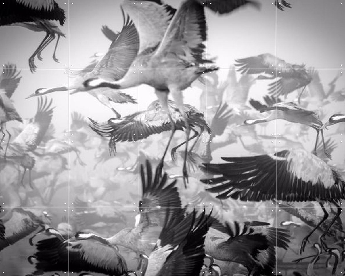 IXXI Bird Migration, Ido Meirovich & Various - 100 x 80 cm - Gratis ophangtool - Grote wanddecoratie en posters - Fotografie, Woonkamer, Slaapkamer