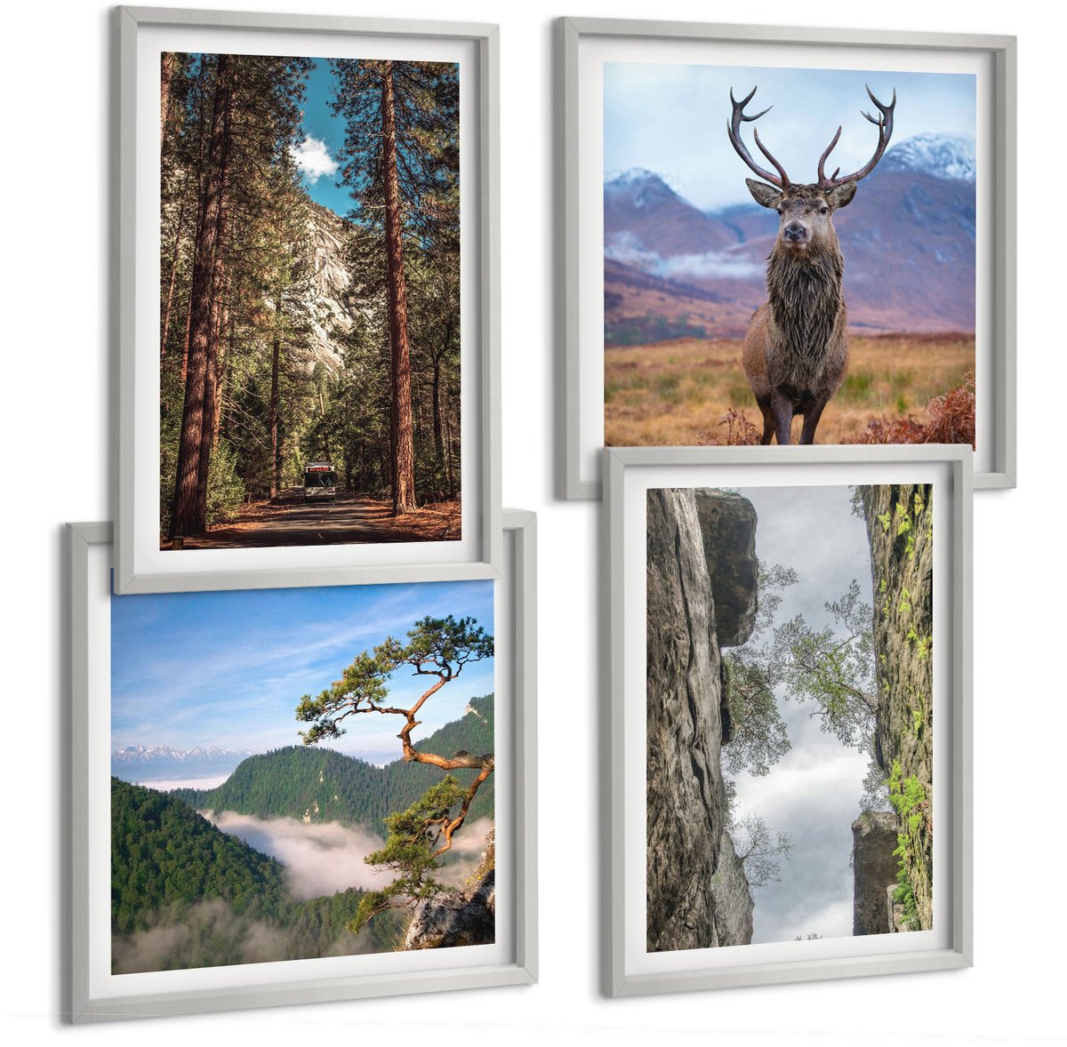 Coloray 4-Delige Schilderij Set - Weg Door Het Bos, Bergen En Herten In De Natuur. - 40 x 40 cm En 40 x 60 cm - Stijlvolle Wanddecoratie - Interieur - Stijlvolle Muurdecoratie