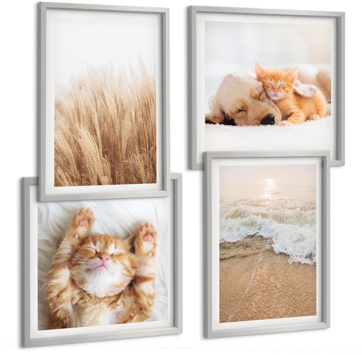 Coloray 4-Delige Schilderij Set - Schattige Dieren Katten Honden Strand Gras Boho - 40 x 40 cm En 40 x 60 cm - Stijlvolle Wanddecoratie - Interieur - Muurdecoratie