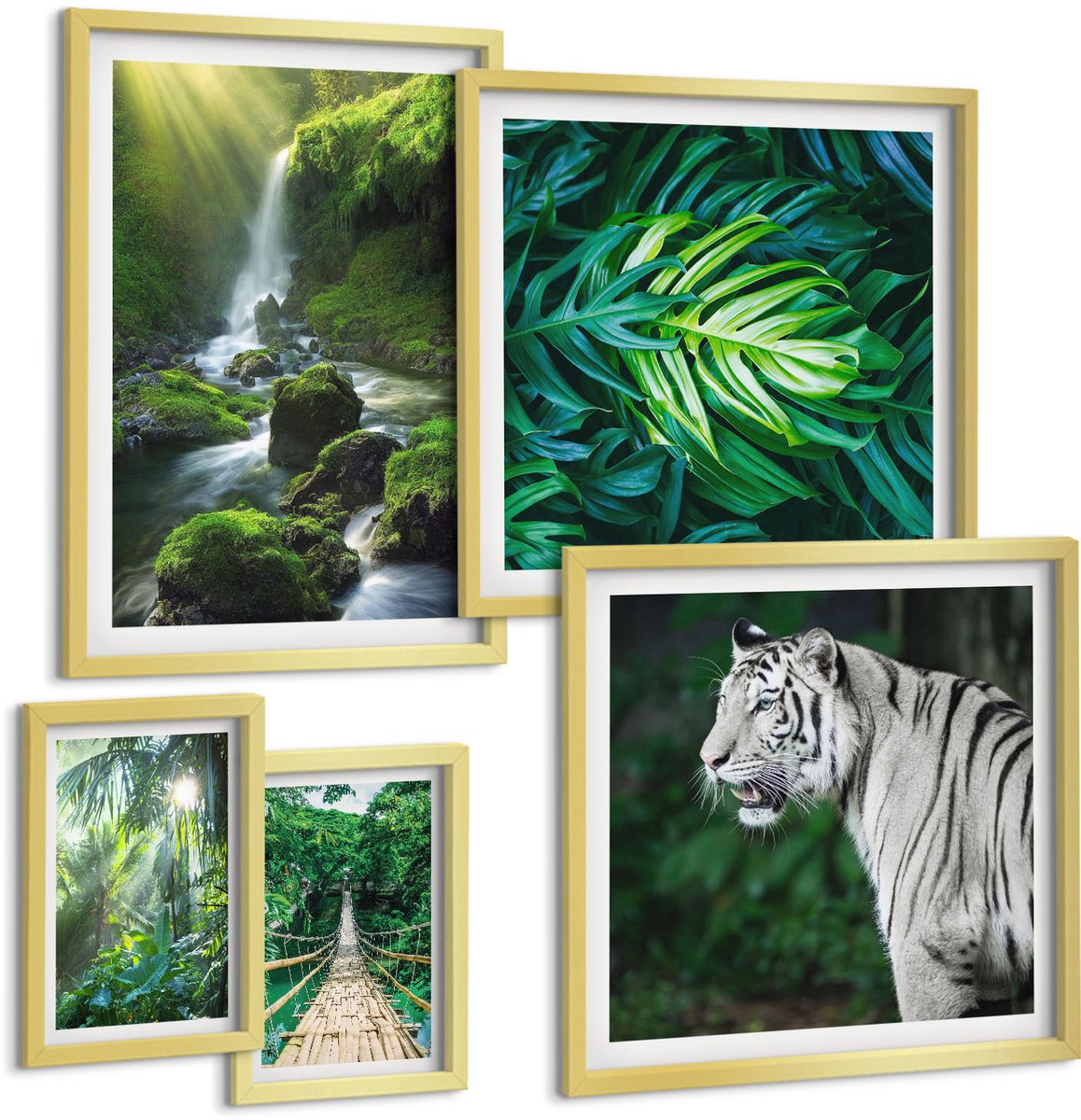 Coloray 5-Delige Schilderij Set - Tropische Landschappen Met Wilde Dieren En Andere Dieren - 50 x 50 cm, 20 x 30 cm En 40 x 60 cm - Muurdecoratie - Interieur Decoratie - Woonkamer Decoratie