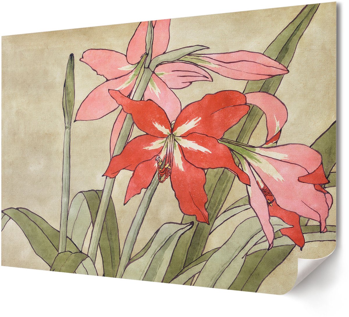 Coloray Polycanvas Wandposter - Delicate Flora, Schilderen - A4 - Romig Decoratie - Rechthoek - Canvasposter - Woonkamer, Slaapkamer, Kantoor - Expressief
