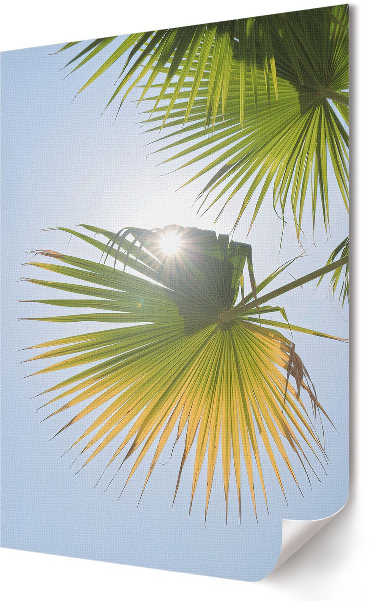 Coloray Polycanvas Wandposter - Futuristische Architectuur, Fotografie - A3 - Wit Poster - Rechthoek - Wandkunstwerk - Woonkamer, Slaapkamer, Kantoor - Modern