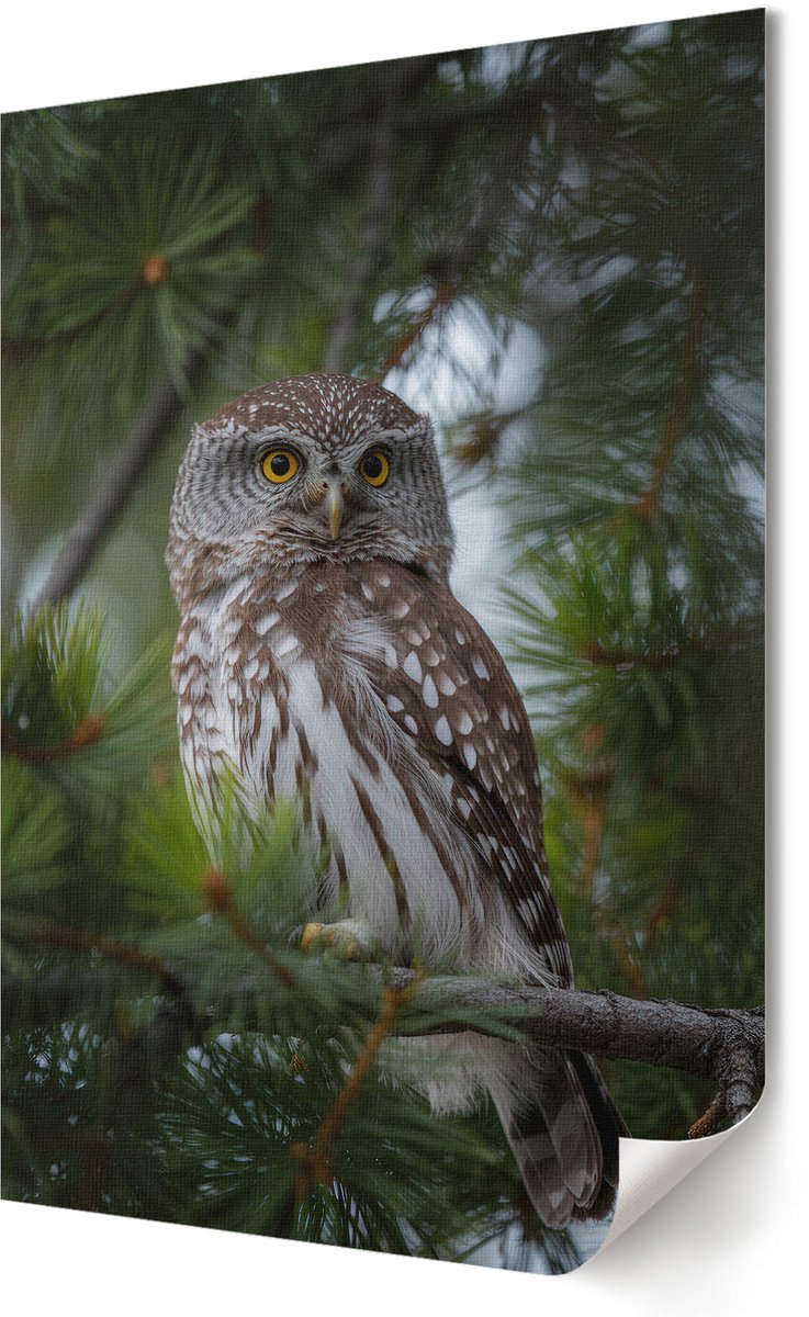 Coloray Polycanvas Poster - Wenteltrap, Fotografie - A3 - Zwart Illustratie - Rechthoek - Wandkunst - Woonkamer, Slaapkamer, Kantoor - Modern