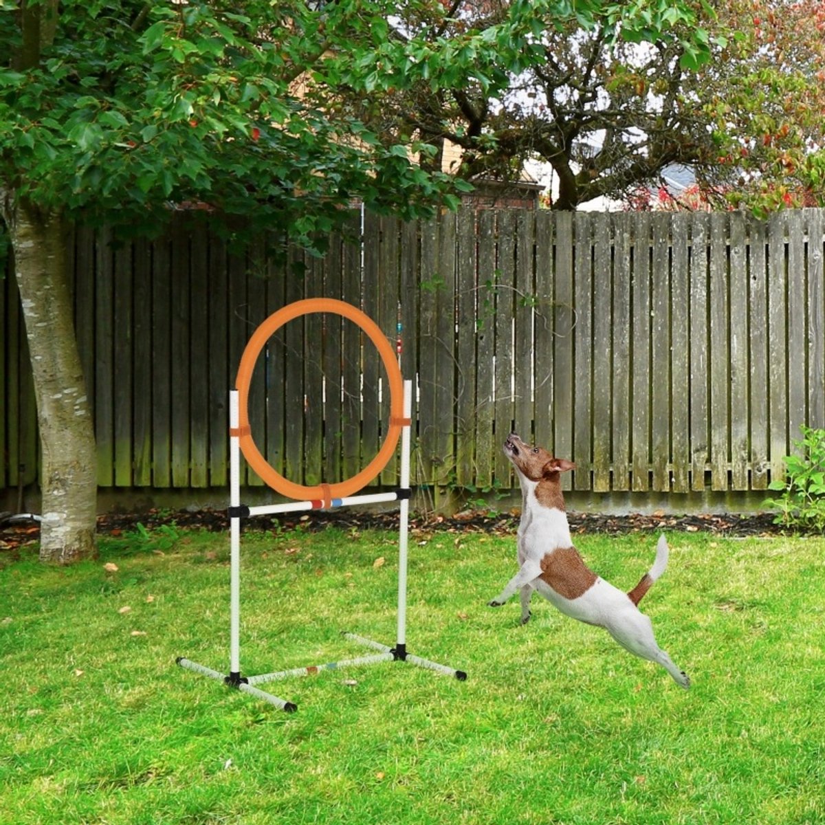 MODFU - Hondentrainingsset - Springring - Verstelbare Hoogte - Plastic - Wit Oranje