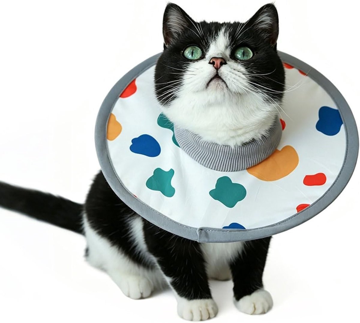 Verstelbare herstelhalsband voor katten ter voorkoming van krassen, letsel en herstel na operatie