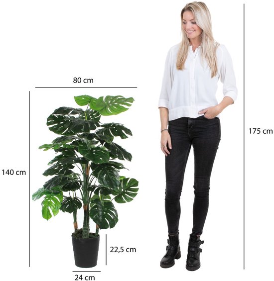 Grote Monstera kunstplant van 140 cm, naast een vrouw van 175 cm. Plant breedte 80 cm.