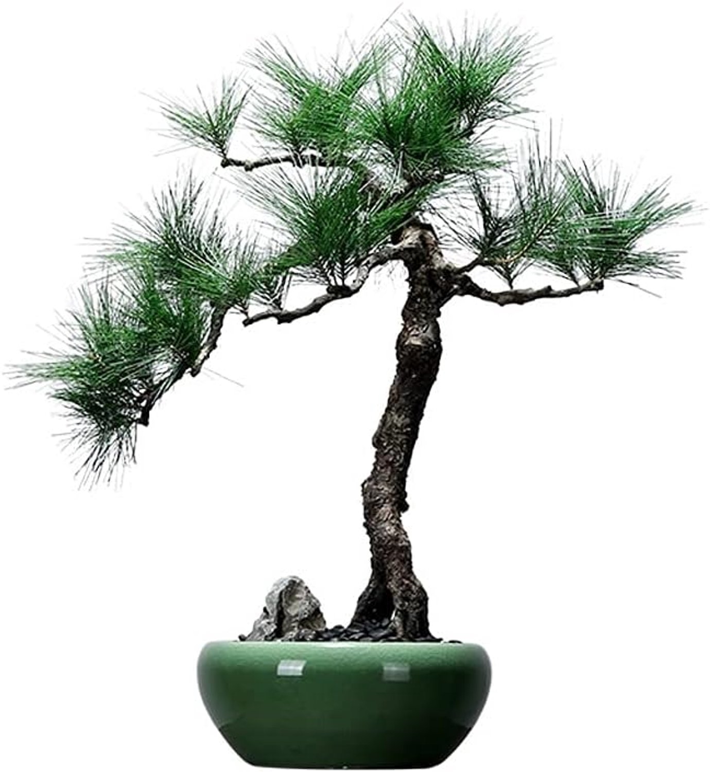 Kunstplanten Chinese-stijl simulatie gastvrije grenen woonkamer decoratie zwarte dennen lange naald blad Zen bonsai for theetafel decoratie in de ingang tea room Kunstbonsaiboom