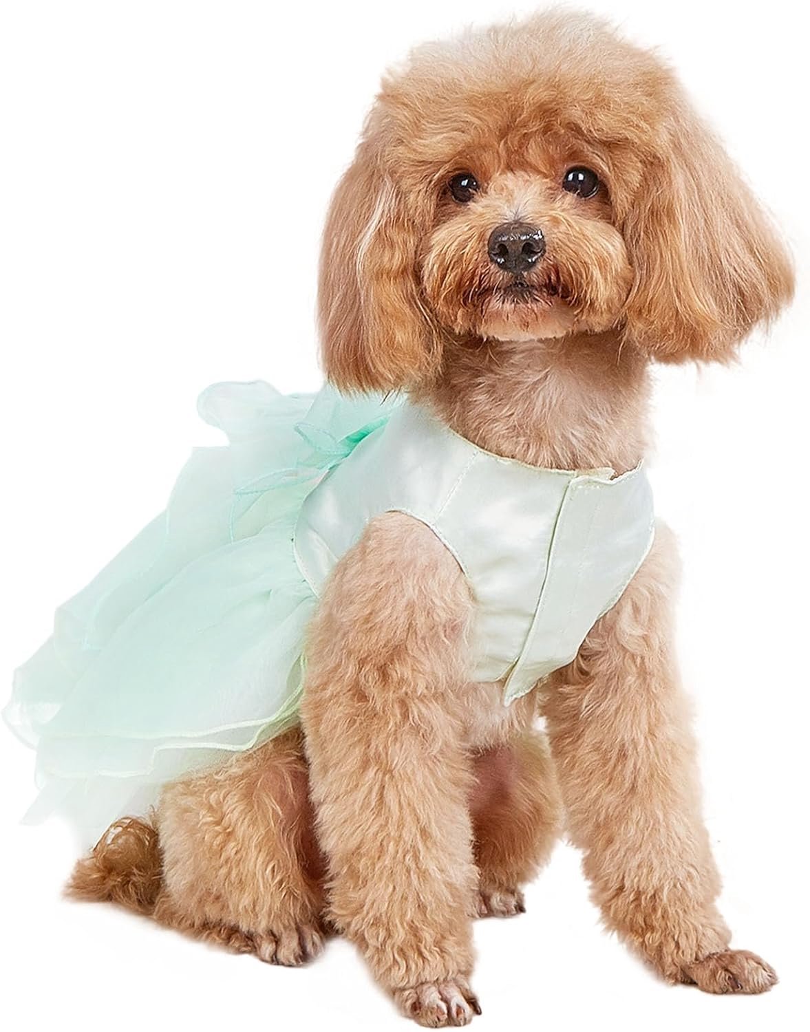 Witte Hond Prinses Jurk Hond Formele Kleding Kanten Donzige Hondenrok Puppy Luxe Rok Jurken Bruiloft Avondjurk Tutu Rok Voor Kleine Hondenmeisje Verjaardagsfeestje Kerst