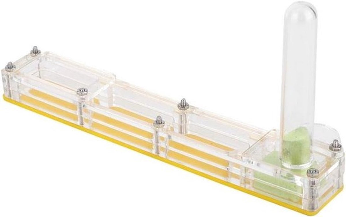 Mierenkweekhuis voor insecten met transparante kweekkast en voedselbox - Formicarium Display Box - Geel
