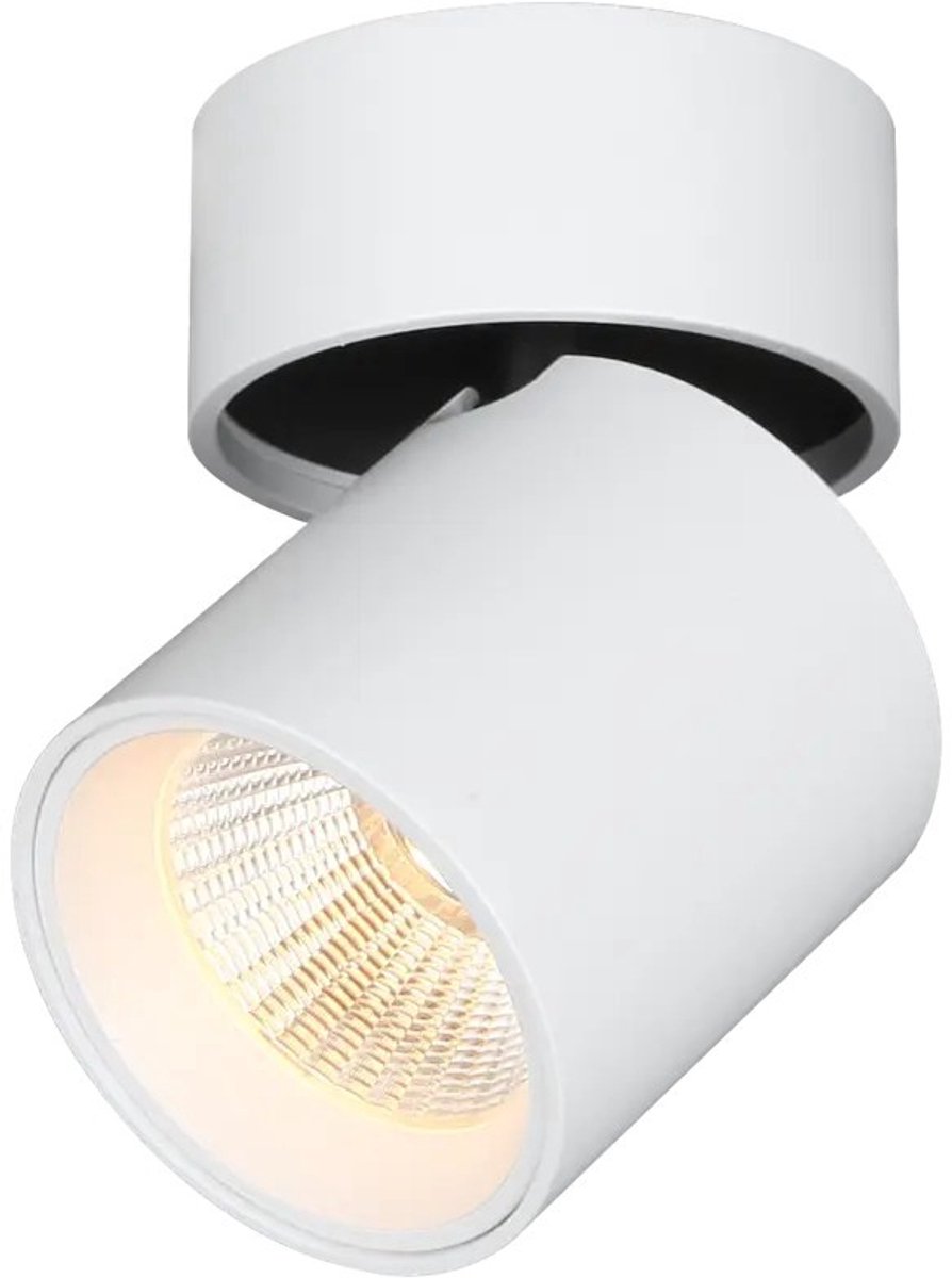 Fantasia Oyo ronde richtbare LED-opbouwspot in wit, 7.5W, 620 lumen, energieklasse G