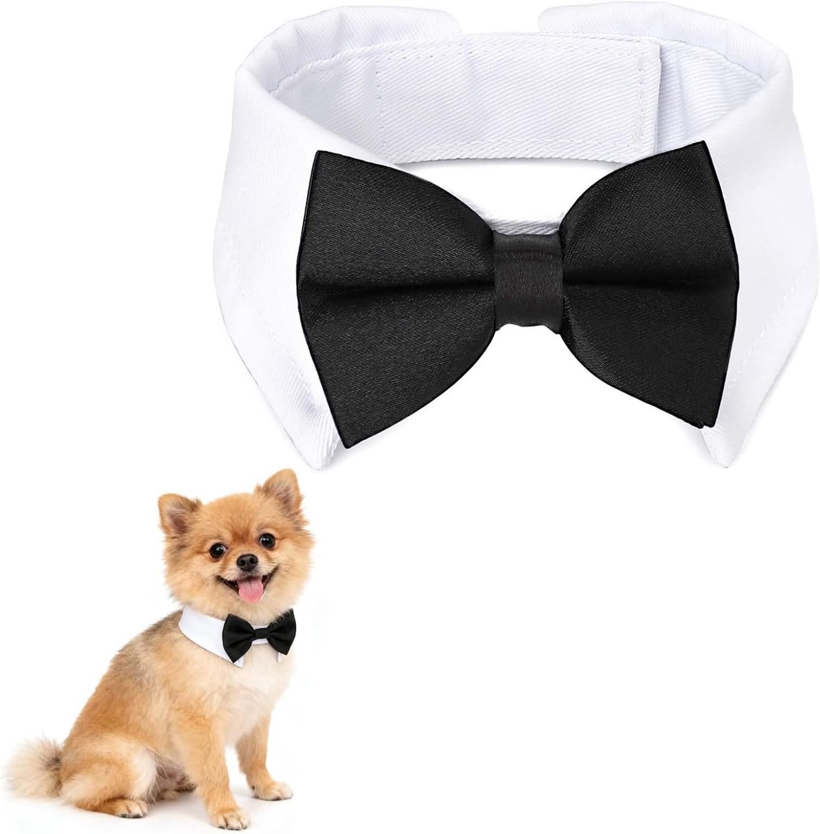 Halsband - Polyester - Ademend - Verstelbaar - Zwart
