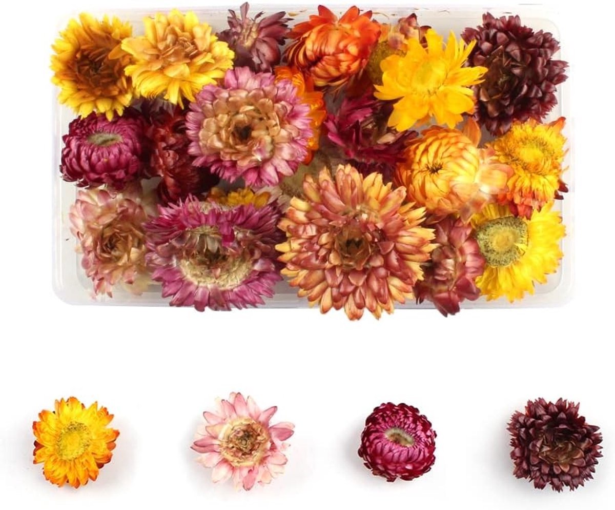 Decoratieve gedroogde bloemen voor hars, kaarsen en bloemstukken - Perfect voor ambacht en scrapbooking