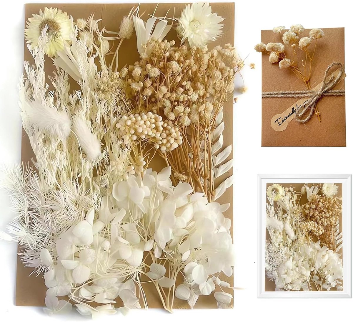 Decoratieve gedroogde bloemen voor resin, gemengde bloemblaadjes en bladeren, eeuwige bloemen voor DIY-projecten
