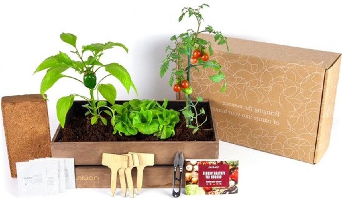 Urban Vintage Moestuin - Biologische Zaden uit Spanje - (Sla Radijs Groene Paprika's en Cherry Tomaten) - Complete Kweekset