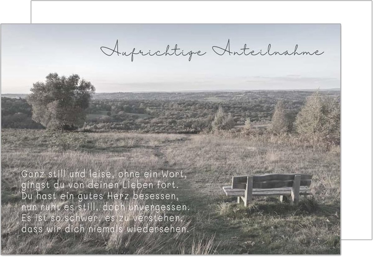 Seidel Premium rouwkaart met envelop. Condoleancekaart rouwkaart met spreuk oprechte deelneming compassie landschap (T1166 SW024)