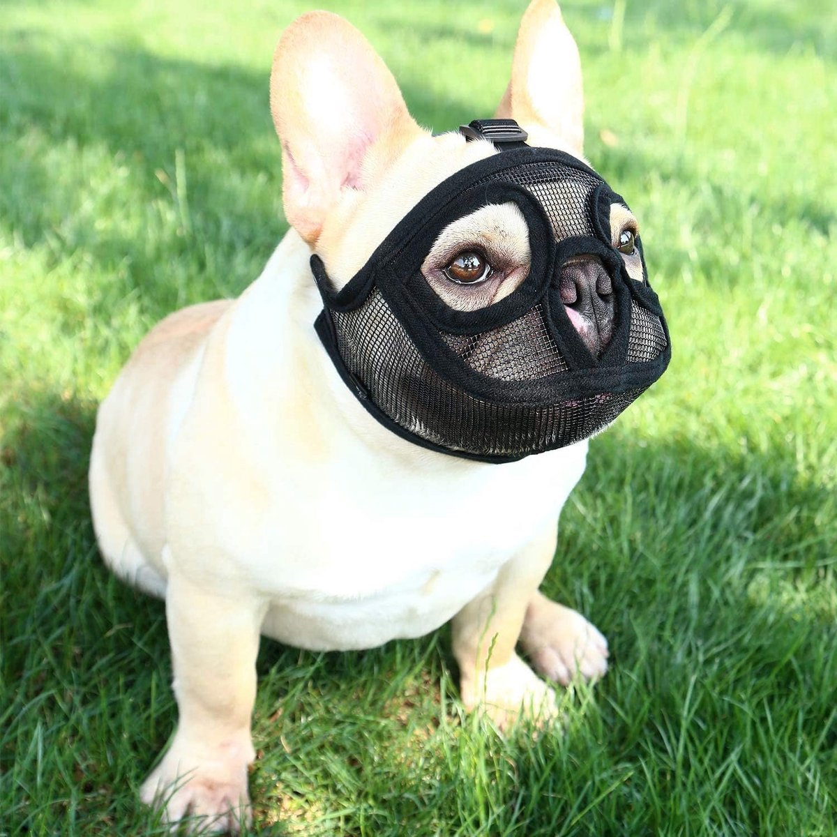 Muilkorf voor honden met korte snuit hondenmuilkorf Engelse bulldog Franse bulldog hondenmonding verstelbare hondenmondafdekking ademend mesh hondenmasker anti-bijten blaffen kauwen