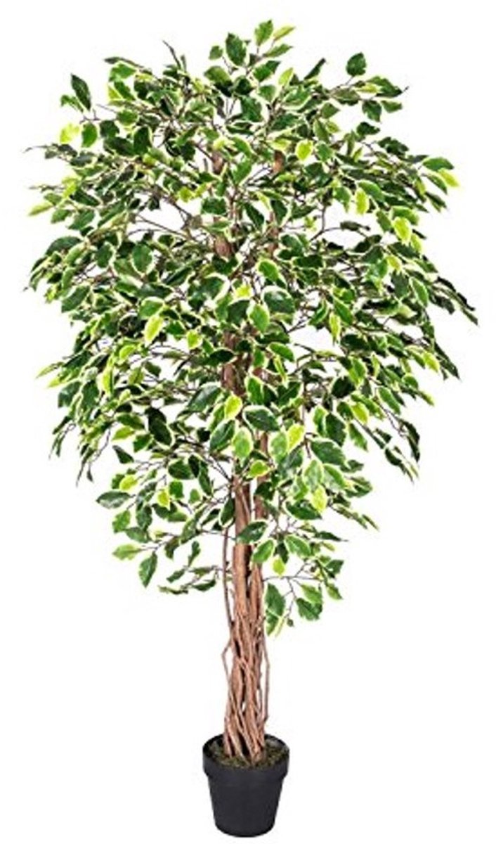 6 Voet Ficus Boom - Echte Houten Stengels en Levensechte Bladeren Kunstplant