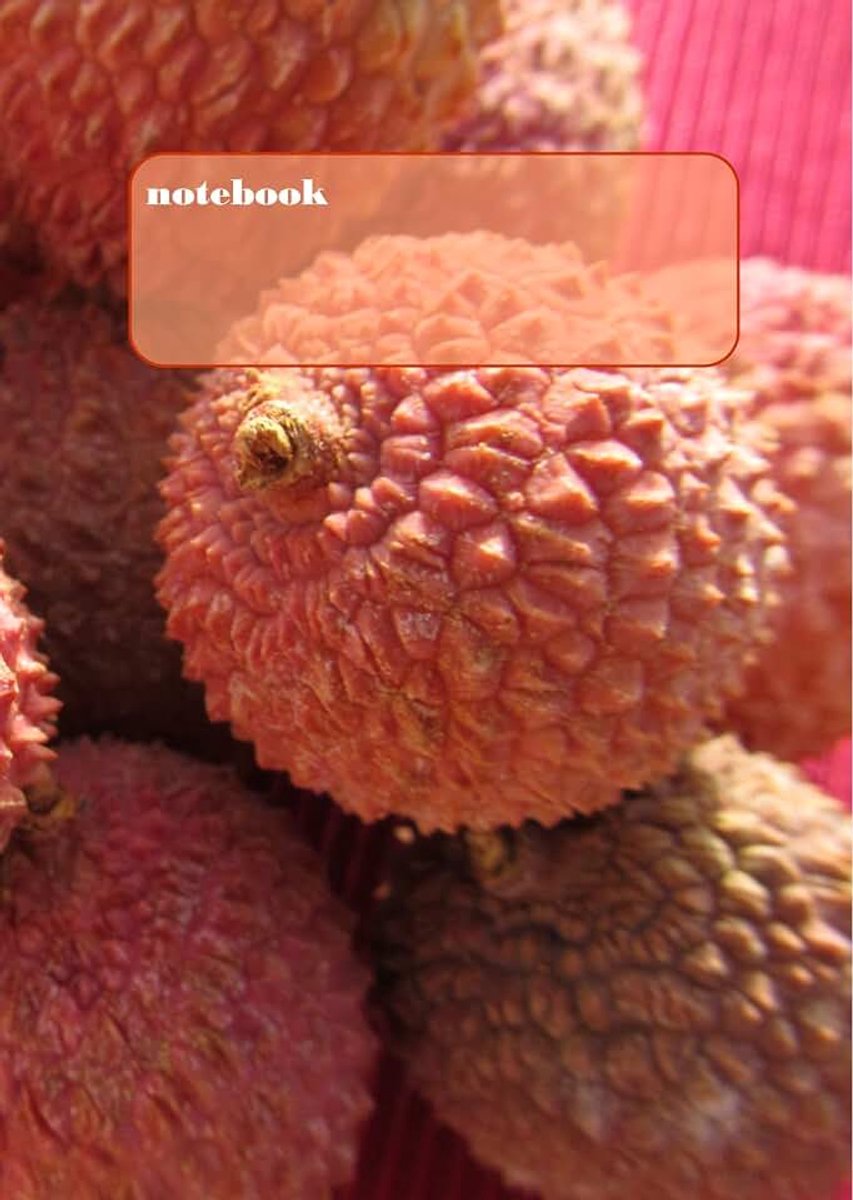Tagebuch / Notizbuch - Litschi: DIN A4, liniert