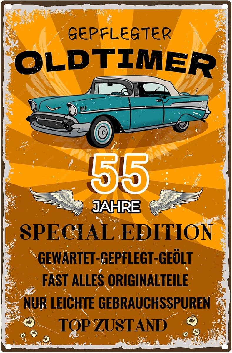 Bord 55 verjaardag schild 55 JAAR KLASSIEK, cadeaus voor de 55e verjaardag man grappig verjaardagsbord 55 cadeau-idee voor 55e verjaardag - vintage metalen bord 20x30 cm