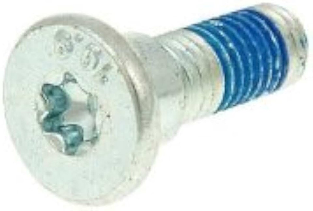Remschijf met 10 mm gat