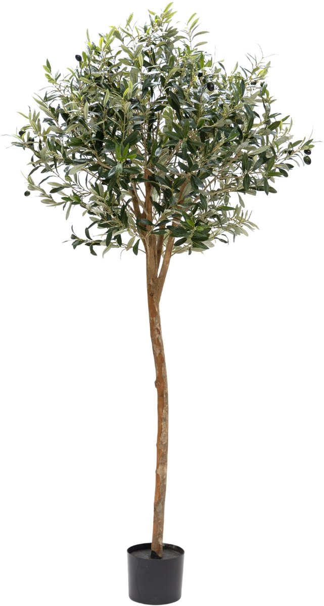 Kunst Olijfboom 180cm