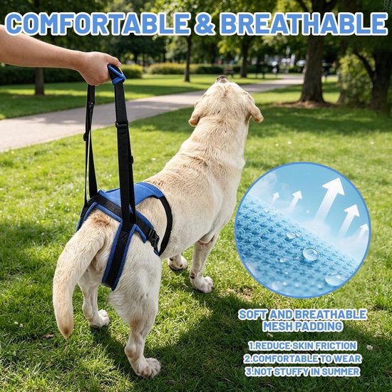 Draagriem voor Honden met Handvat, Trapsteun voor Oudere en Gehandicapte Honden, Verstelbare Ondersteuningsharnas voor Lame Honden (M) — afbeelding 2