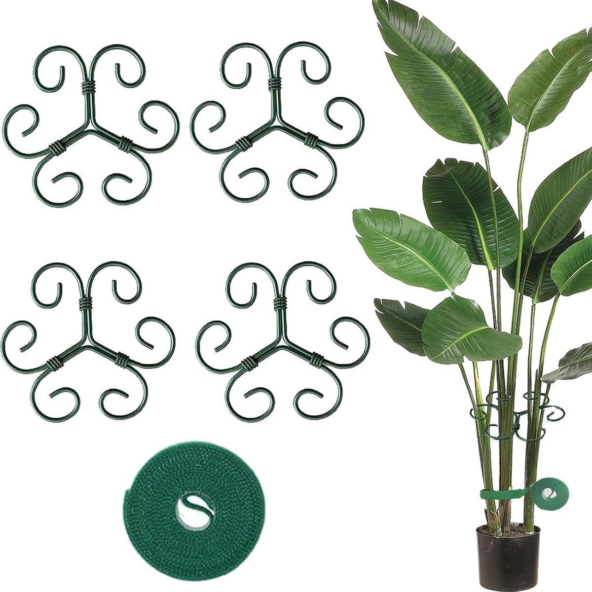Plantensteun 4