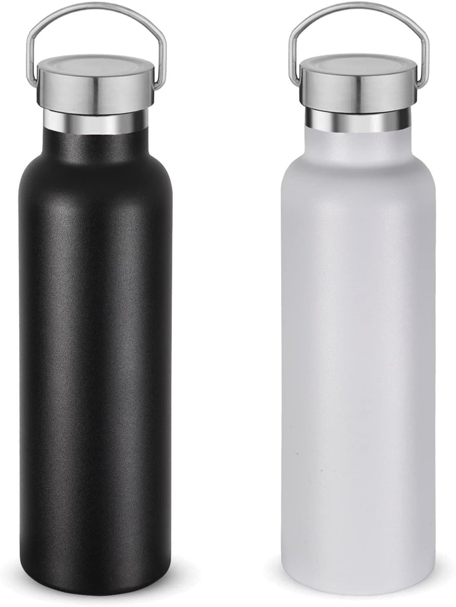 Flessen Twee Pak, Roestvrij Staal Dubbele Muur Sportfles Met Deksel Van Handvat, Metalen Herbruikbare Thermosfles Met Kop Dop Voor School, Wandelaars, Gift