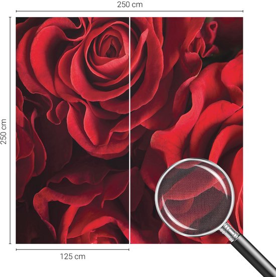 Wallfluent Zelfklevend Fotobehang - Rood Vliesbehang - 250x250 cm - Rode Rozen Behang Zonder Lijm - Slaapkamer behang Bloemen En Planten - Luchtbelvrij Behang - Polyester Behang