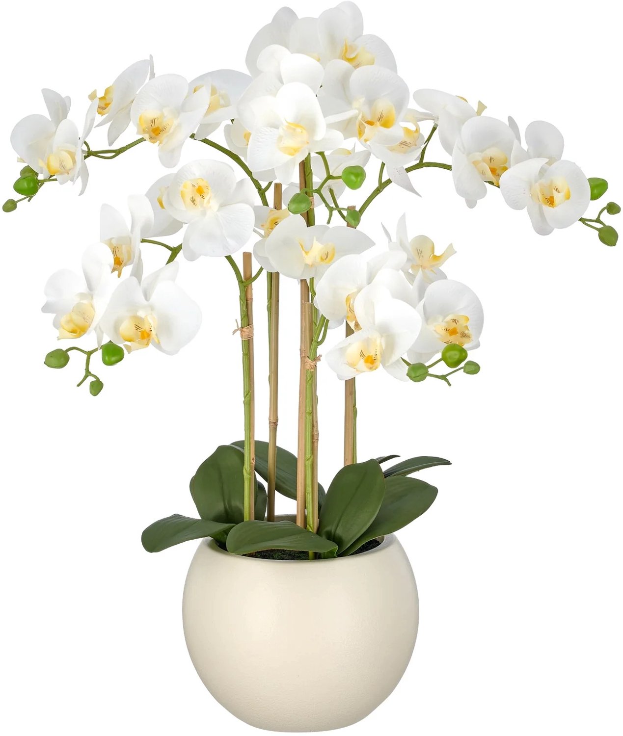 KOPU® Kunstorchidee 65 cm - Wit - Crèmekleurige pot - Phalaenopsis
