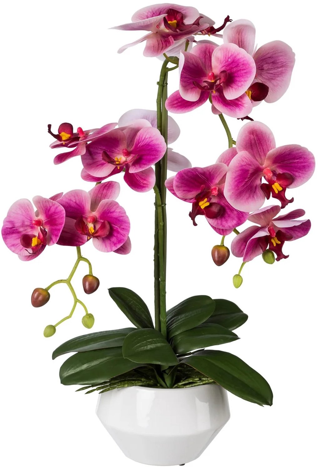 KOPU® Kunstorchidee 52 cm - Fuchsia - Witte pot - Phalaenopsis
