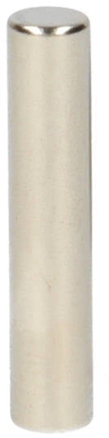 Neodymium Staafmagneet Ø4 x 20 mm N48 NiCuNi – 20 stuks