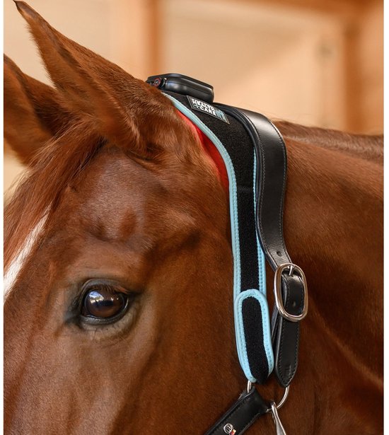 Zwarte flexpad met blauwe rand en 'Waldhausen Health + Care' label op de nek van een bruin paard.