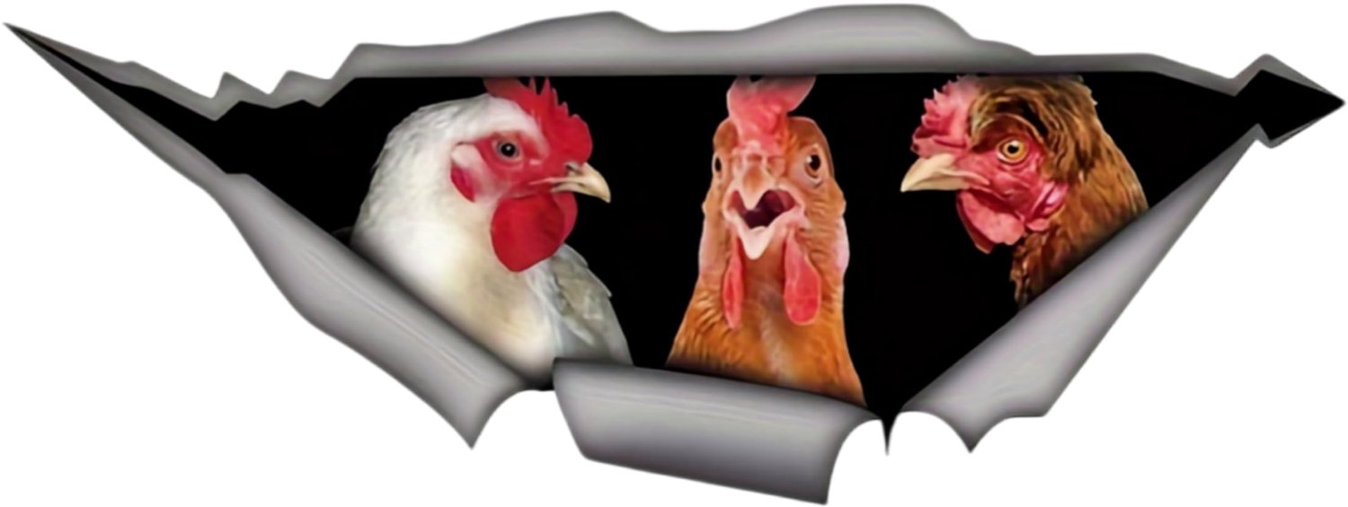 Grappige Kippen Autostickers 5,5 inch voor Auto's en Meer