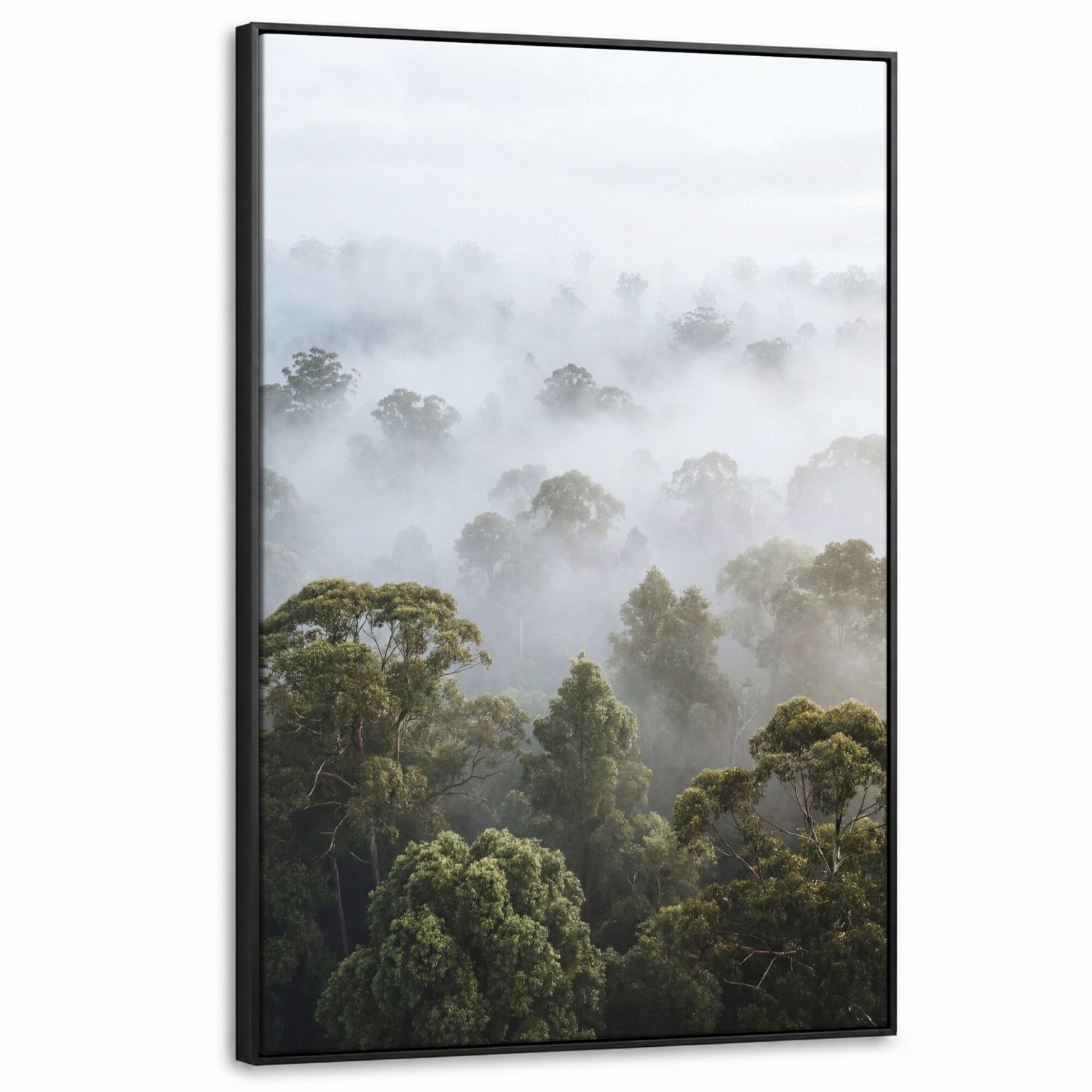 Canvas Schilderij met Baklijst - Natuur - Mist - Bos - Ochtend - Goud