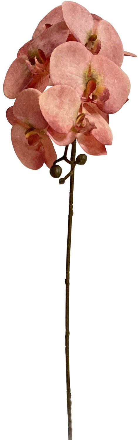 homebound by ky Kunsttak Vlinderorchidee 101cm roze