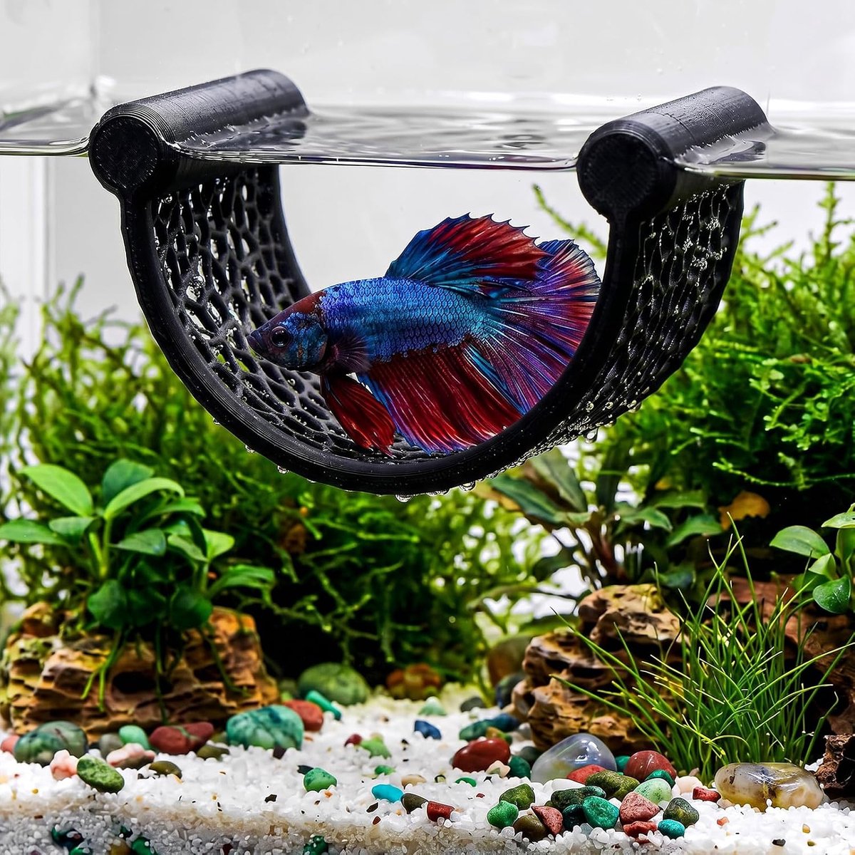 Betta hangmat, Betta slaapplaats, hangmat, aquarium, kempvis, accessoires voor kempvissen, garnalen, andere kleine vissen, zonder zuignap, zonder bevestiging (zwart)